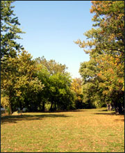 picturesque scene in Elmwood Park, NJ