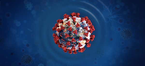 Coronavirus image