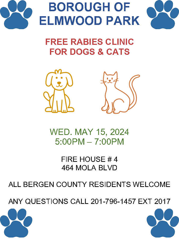 rabies clinic flyer